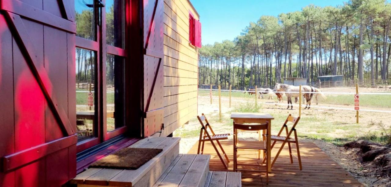 Roulottes Cocooning Au Coeur Des Landes Ξενοδοχείο Mées Εξωτερικό φωτογραφία