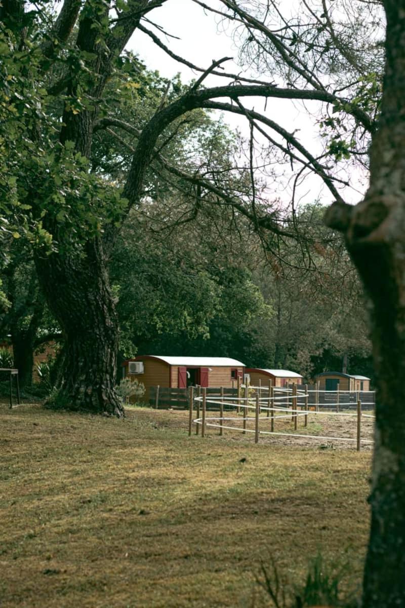 Roulottes Cocooning Au Coeur Des Landes Ξενοδοχείο Mées Εξωτερικό φωτογραφία