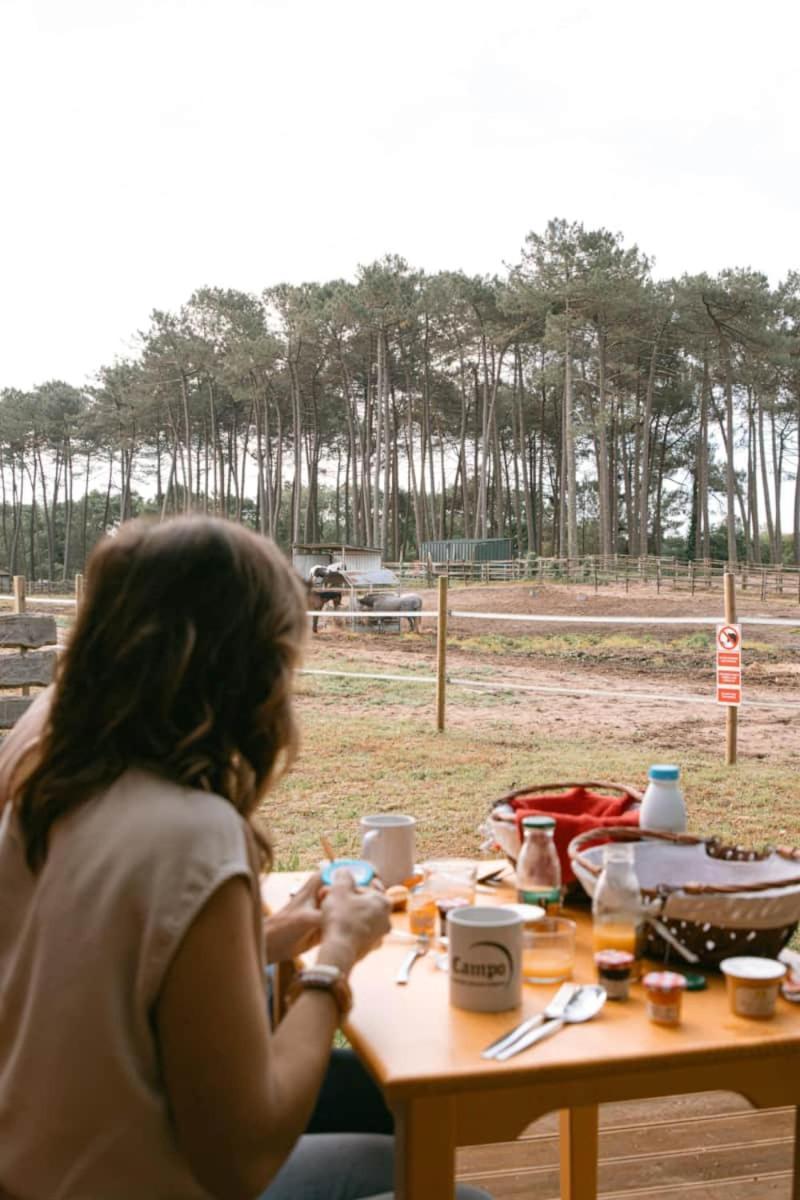 Roulottes Cocooning Au Coeur Des Landes Ξενοδοχείο Mées Εξωτερικό φωτογραφία